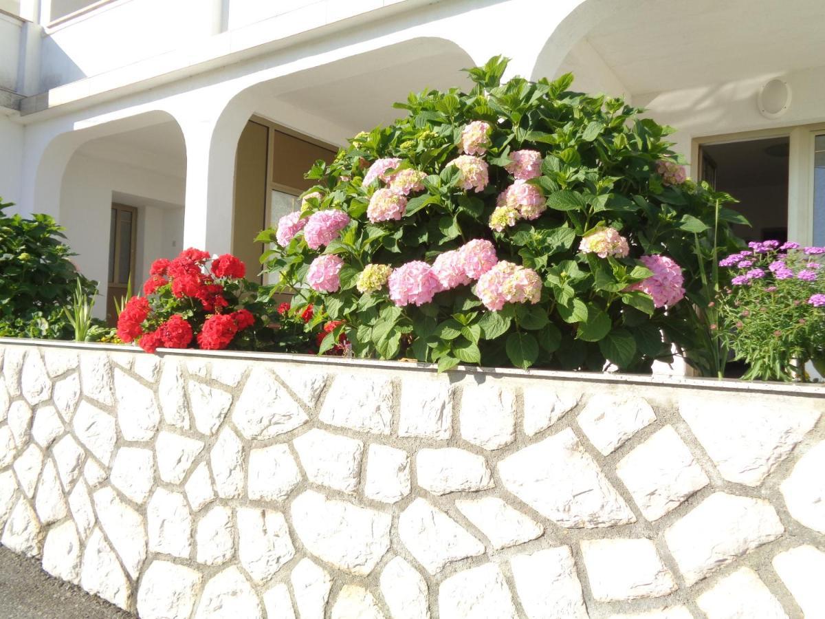 Marina Appartement