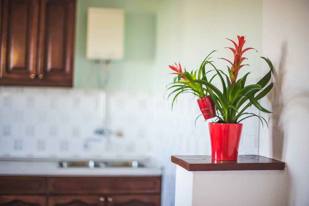 Marina Appartement