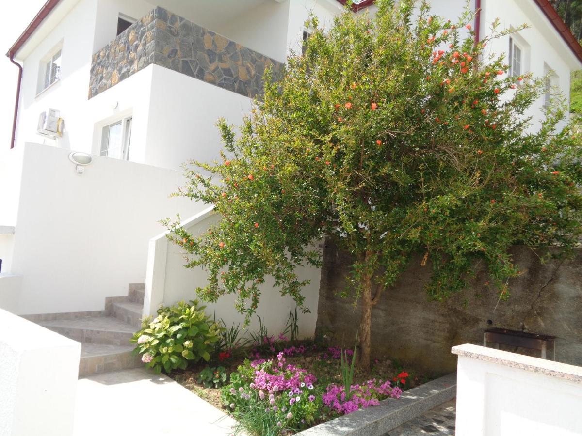 Marina Appartement *